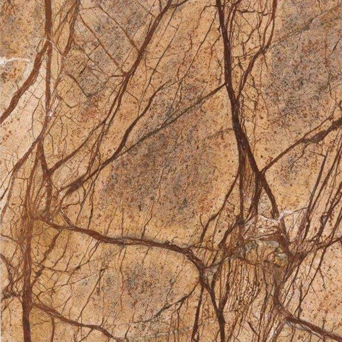 Rainbrown Forest